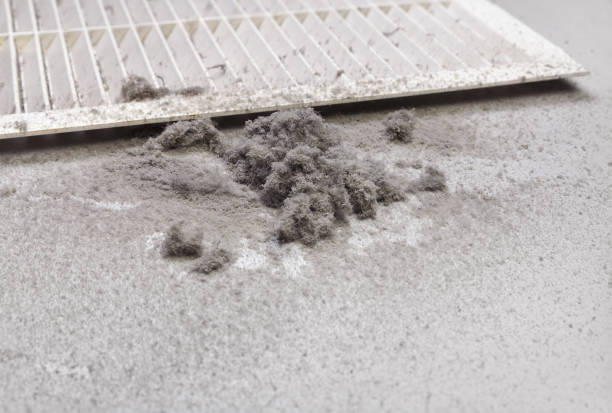 Best Emergency Air Duct Cleaning  in East End, AR