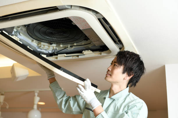 Best Professional Duct Cleaning Services  in East End, AR